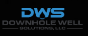 Downhole Well Solutions