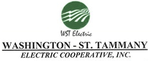 WST Electric