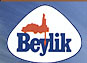 Beylik Drilling & Pump Services Inc