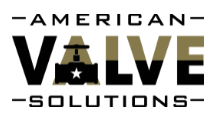 American Valve Solutions, LLC