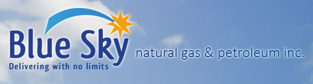 Blue Sky Natural Gas & Petroleum Inc