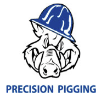 Precision Pigging Holdings, LLC