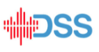 DSS Tools - Downhole Sonic Solutions Inc.