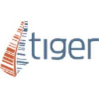 Tiger Energy Services